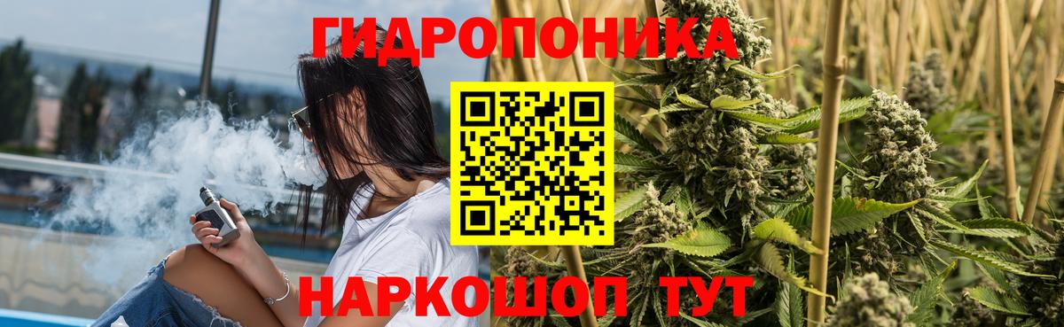 Бошки марихуана план  Канабис AK-47  Каннабис планчик  Тимашёвск  Вход с VPN 
